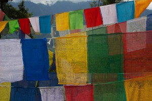 Prayer Flags we Placed at Taktsang.