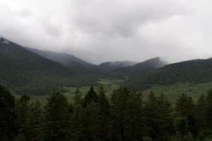 Phobijike Valley...home of the black-necked crane.