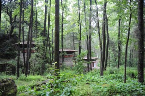 On the trail to Taktsang...the lower stretch of the trail.